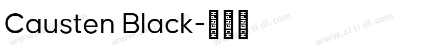 Causten Black字体转换